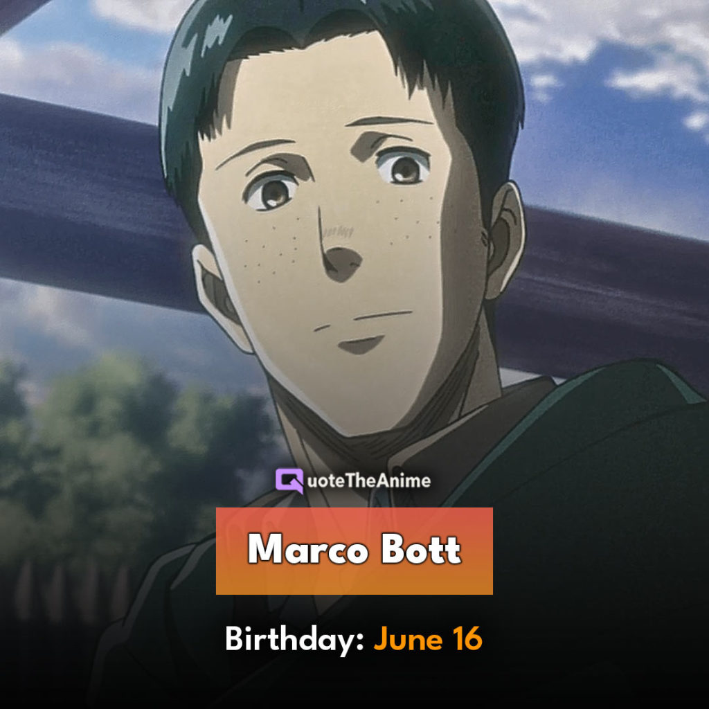 Marco Bott