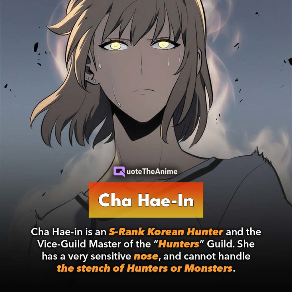 ALL Solo Leveling Characters Wiki (OFFICIAL)