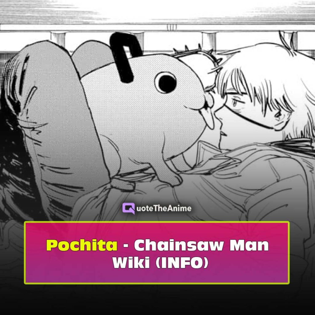 Pochita Chainsaw Man