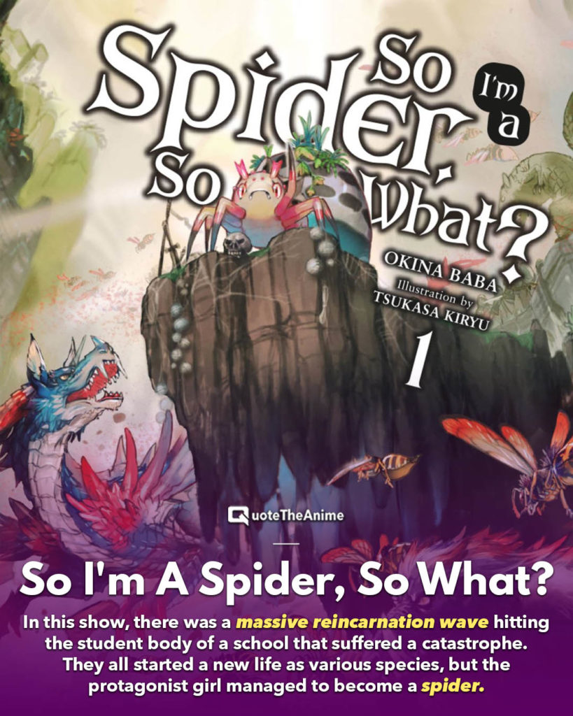 So I'm A Spider So What