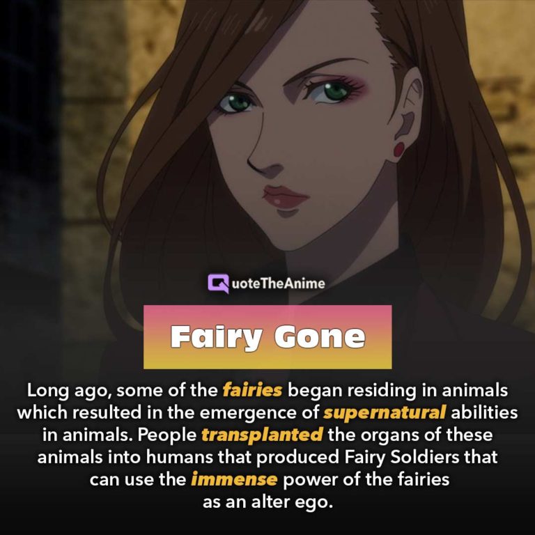 fairy gone