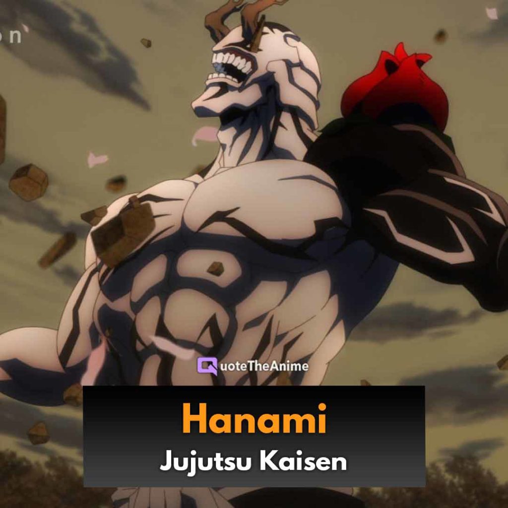 Hanami wiki