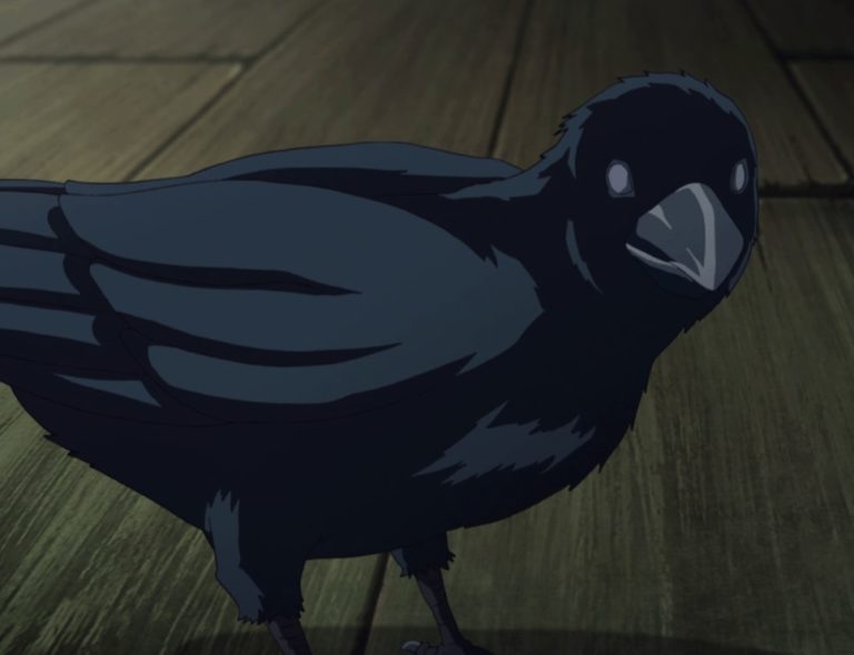 Kasugai Crow