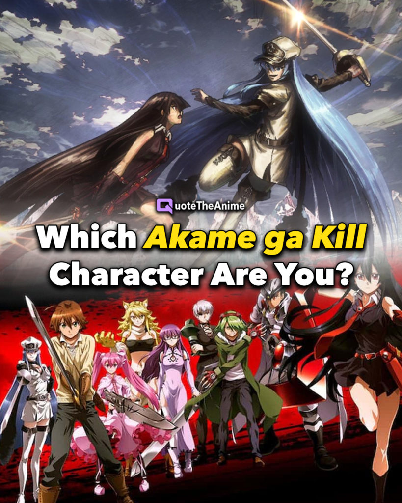 which akame ga kill character are you?