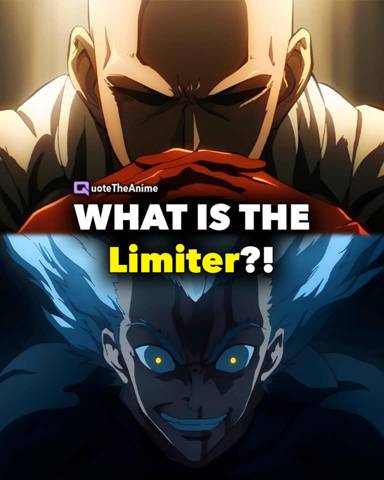 What is the limiter 1